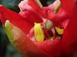 PC223113a.jpg